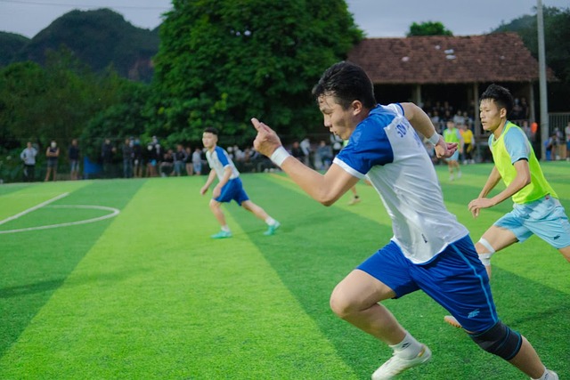 来他们的首